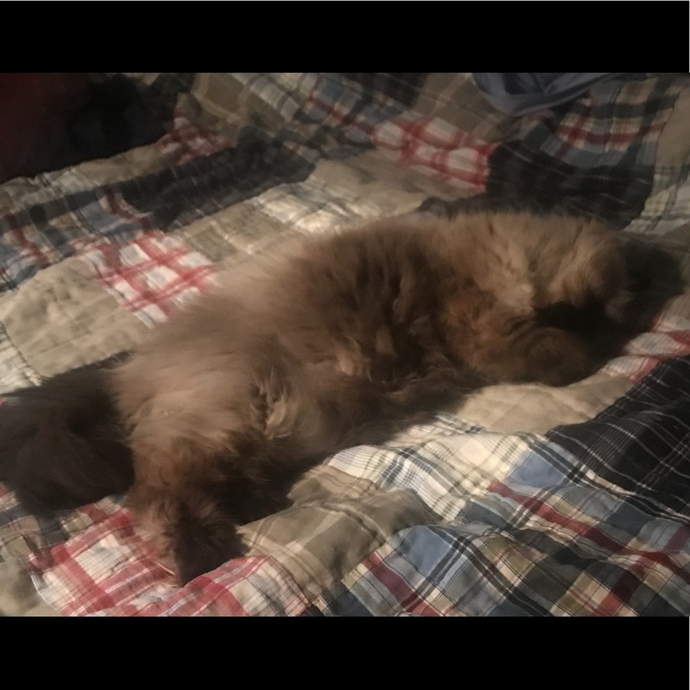 Meet your Posher, Mandy